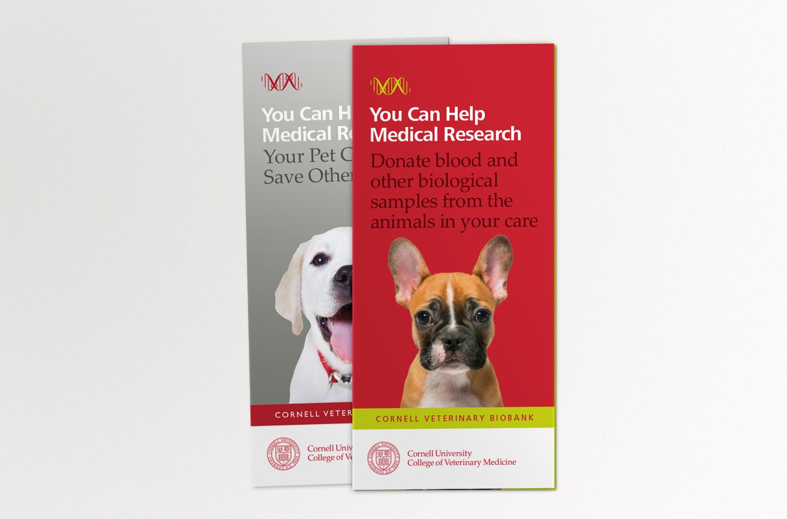Cornell Veterinary Biobank Tri-fold Brochures
