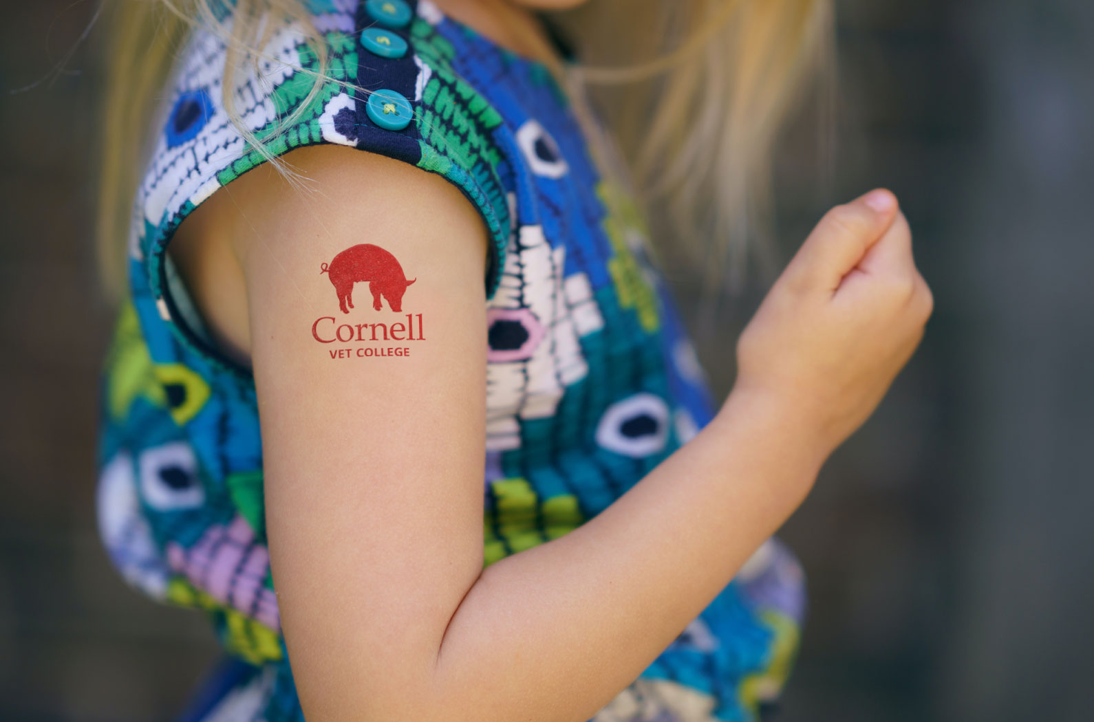 Cornell Vet College Temporary Pig Tattoo