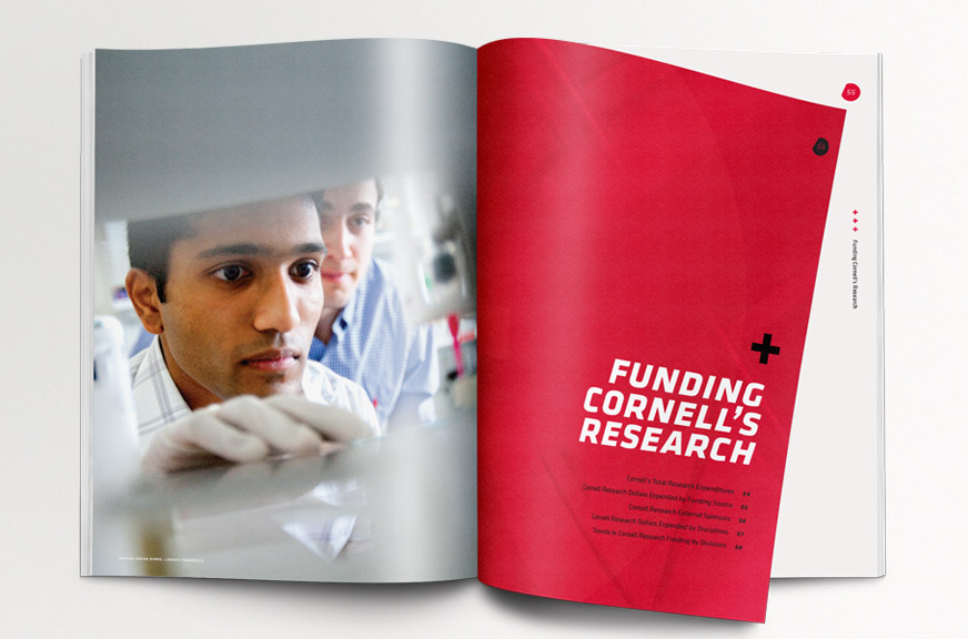 Cornell Research Annual Report Publication Red Section Intro