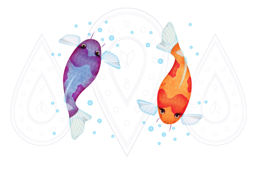 Pamboo Koi Fish Illustration